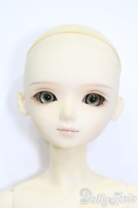 BLUE FAIRY/TF:Emilie S-25-04-20-102-GN-ZS