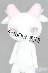 【DOLK×DEAR MINE】Fluorite LORENZ bean S-25-04-20-205-GN-ZS