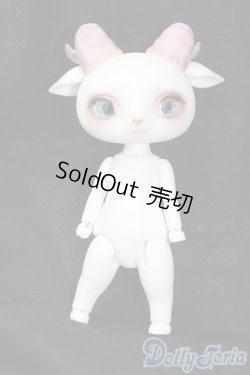 画像4: 【DOLK×DEAR MINE】Fluorite LORENZ bean S-25-04-20-205-GN-ZS