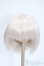 画像1: 9-10inch/ウィッグ Y-25-04-30-121-GN-ZY (1)