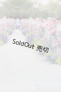 1/6ドールサイズ/背景布 S-25-06-01-507-GN-ZS