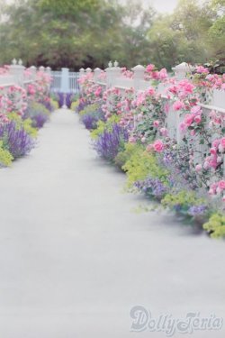 画像1: 1/6ドールサイズ/背景布 S-25-04-27-050-GN-ZS