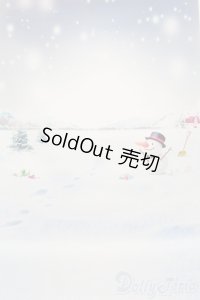 1/6ドールサイズ/背景布 S-25-10-26-494-GN-ZS