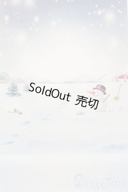 画像1: 1/6ドールサイズ/背景布 S-25-10-26-494-GN-ZS