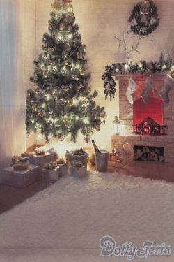 画像3: 1/6ドールサイズ/背景布 S-25-10-26-494-GN-ZS