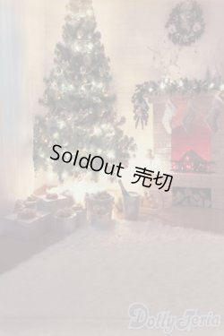 画像3: 1/6ドールサイズ/背景布 S-25-10-26-494-GN-ZS