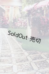 1/6ドールサイズ/背景布 S-25-07-06-889-GN-ZS