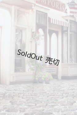 画像2: 1/6ドールサイズ/背景布 S-25-07-06-889-GN-ZS