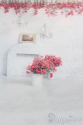 1/6ドールサイズ/背景布 S-25-04-27-053-GN-ZS