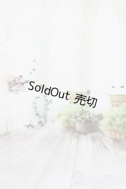 画像2: 1/6ドールサイズ/背景布 S-25-06-01-502-GN-ZS