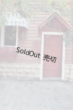 画像2: 1/6ドールサイズ/背景布 S-25-06-01-496-GN-ZS