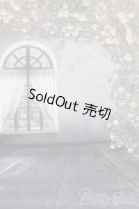 1/6ドールサイズ/背景布 S-25-04-27-049-GN-ZS