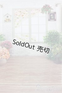 1/12ドールサイズ/背景布 S-25-10-26-495-GN-ZS