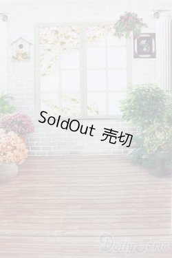 画像1: 1/12ドールサイズ/背景布 S-25-10-26-495-GN-ZS