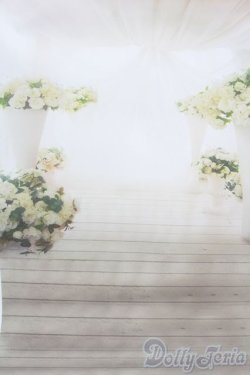 画像3: 1/12ドールサイズ/背景布 S-25-06-01-495-GN-ZS