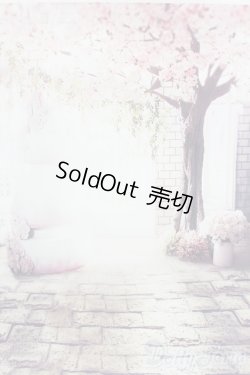 画像4: 1/12ドールサイズ/背景布 S-25-10-26-495-GN-ZS