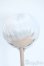 画像1: 9-10inch/ウィッグ Y-25-04-30-117-GN-ZY (1)