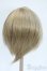 画像2: 9-10inch/ウィッグ Y-25-04-30-122-GN-ZY (2)