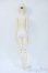 画像6: Myoudoll/carr Y-25-04-30-074-GN-ZY