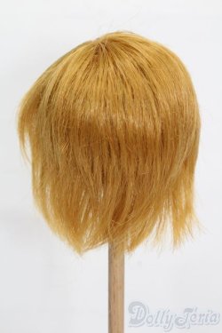 画像2: 9-10inch/ウィッグ S-25-05-04-097-GN-ZS