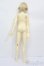 画像7: BJD CROBI/ZION S-25-05-04-101-GN-ZS