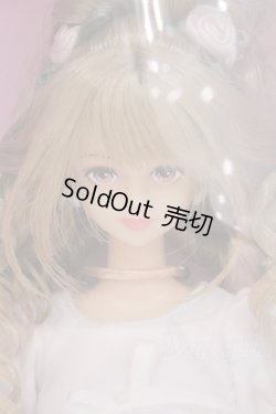 画像1: 【新宿マルイアネックス店 店頭販売商品】ジェニー/シオン 2100150000011022-ZM