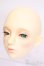 画像2: RSDOLL/EVAN.R HEAD+ボディ S-25-05-11-001-GN-ZS (2)