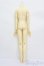 画像6: RSDOLL/EVAN.R HEAD+ボディ S-25-05-11-001-GN-ZS