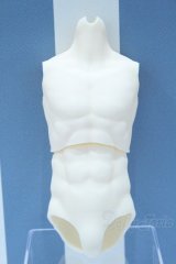 【新宿マルイアネックス店 店頭販売商品】DD・DDSB/Fioristaflowers様製筋肉ボディ 2100150000011170-ZM