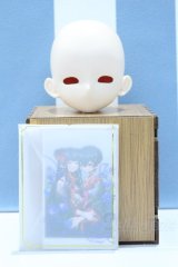 【新宿マルイアネックス店 店頭販売商品】1/4ドール/空色箱庭製ヘッド 2100150000011190-ZM