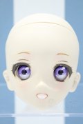 【新宿マルイアネックス店 店頭販売商品】DD/DDH-06:カスタムヘッド 2100150000011237-ZM
