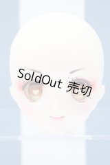 【新宿マルイアネックス店 店頭販売商品】DD/DDH-22:カスタムヘッド 2100150000011239-ZM