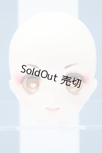 【新宿マルイアネックス店 店頭販売商品】DD/DDH-22:カスタムヘッド 2100150000011239-ZM