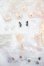 画像4: MINTY(ミンティ)/ファンタジーの森:特典まとめ S-25-05-11-115-GN-ZS