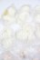 画像5: MINTY(ミンティ)/ファンタジーの森:特典まとめ S-25-05-11-115-GN-ZS