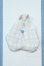 画像2: 【新宿マルイアネックス店 店頭販売商品】COCORIANG/OF:衣装 2100150000011505-ZM (2)