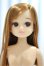 画像1: 【新宿マルイアネックス店 店頭販売商品】リカちゃん/リカちゃん 2100150000011537-ZM (1)