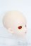 画像3: DD/DWC#2ヘッド(スキンカラーフレッシュ) S-25-05-25-028-GN-ZS (3)