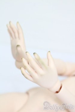 画像3: DD/DDベースボディ2.0(DD-f3) M胸 S-25-05-25-021-GN-ZS