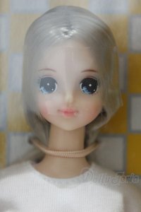 【新宿マルイアネックス店 店頭販売商品】ジェニー/マリー 2019年神戸三宮BASICモデル 2100150000011590-ZM