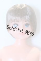 リカちゃん/かけるくん S-26-03-08-338-GN-ZS