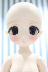 【新宿マルイアネックス店 店頭販売商品】PUYOO DOLL/KUMAKO:RURU 2100150000011929-ZM