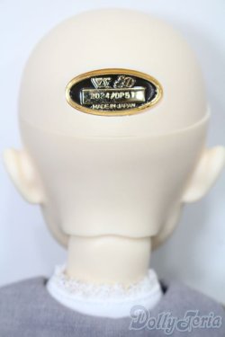 画像6: SDB/ミシェル 星間学寮Ver. S-25-11-23-653-GN-ZS