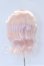 画像3: 6-7inch/ウィッグ S-26-02-15-093-GN-ZS (3)