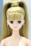 画像1: 【新宿マルイアネックス店 店頭販売商品】ジェニー/マリー 2100150000012127-ZM (1)