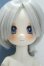 画像1: 【新宿マルイアネックス店 店頭販売商品】TinyFox/付き人のアザラシ ノーミ 2100150000012129-ZM (1)