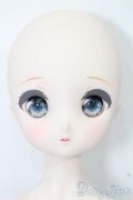 MDD/ドリームチョイス:DC-H-20ヘッド S-25-06-22-001-GN-ZS