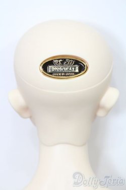 画像5: SD17B/ウィリアムズ Williams Commodore Ver.2 S-25-10-05-449-GN-ZS