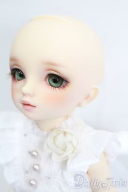 画像3: 幼天使/椿 S-25-09-28-427-GN-ZS