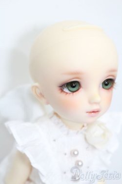 画像4: 幼天使/椿 S-25-09-28-427-GN-ZS